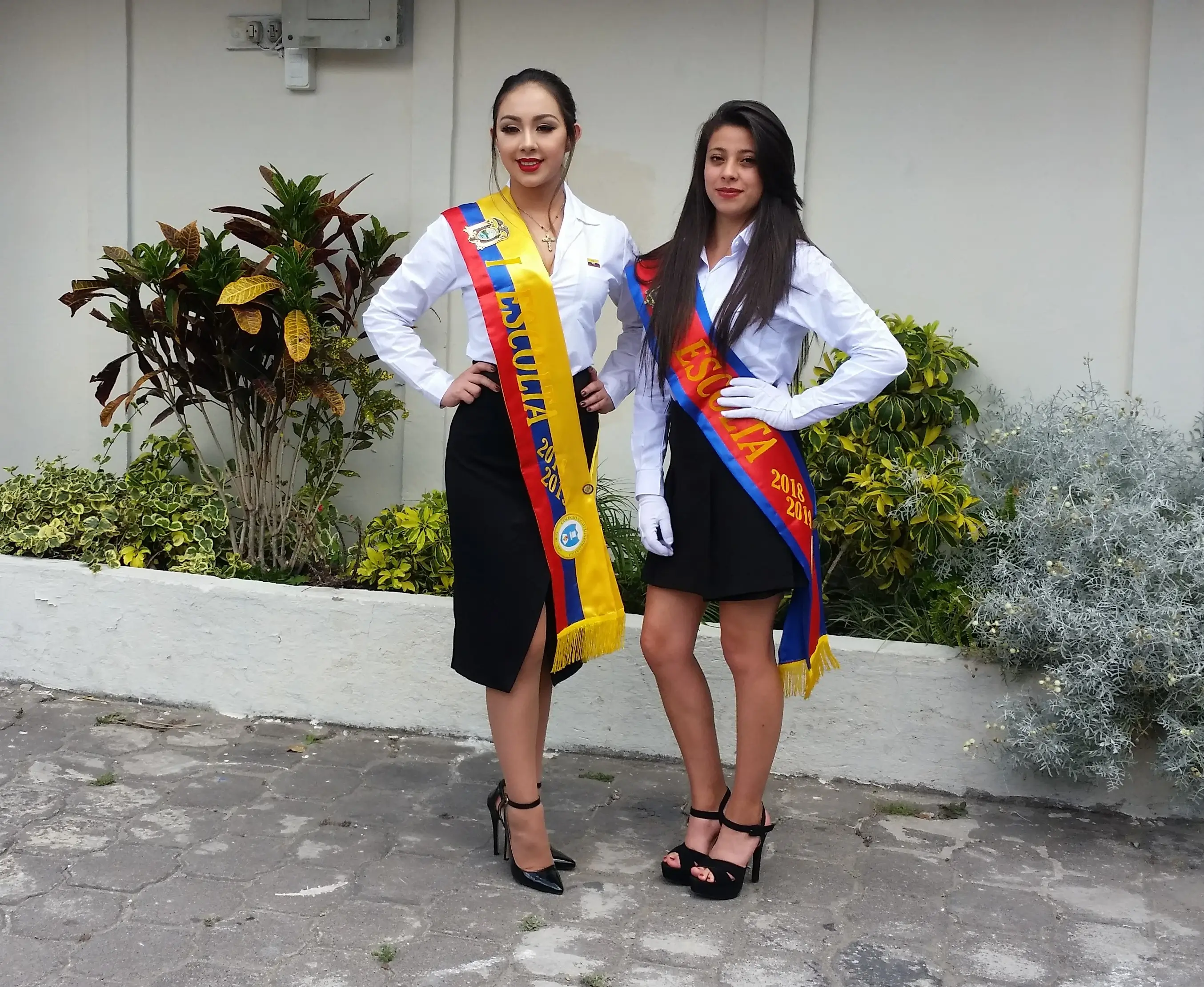 Imagen 1